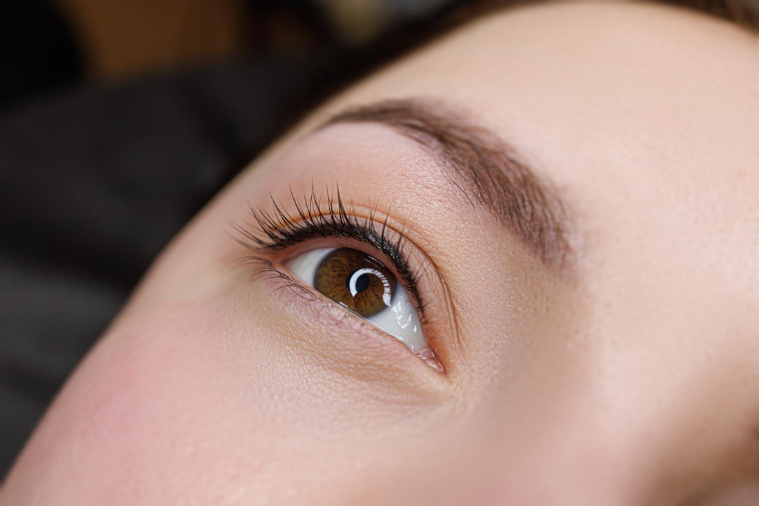 Lashes