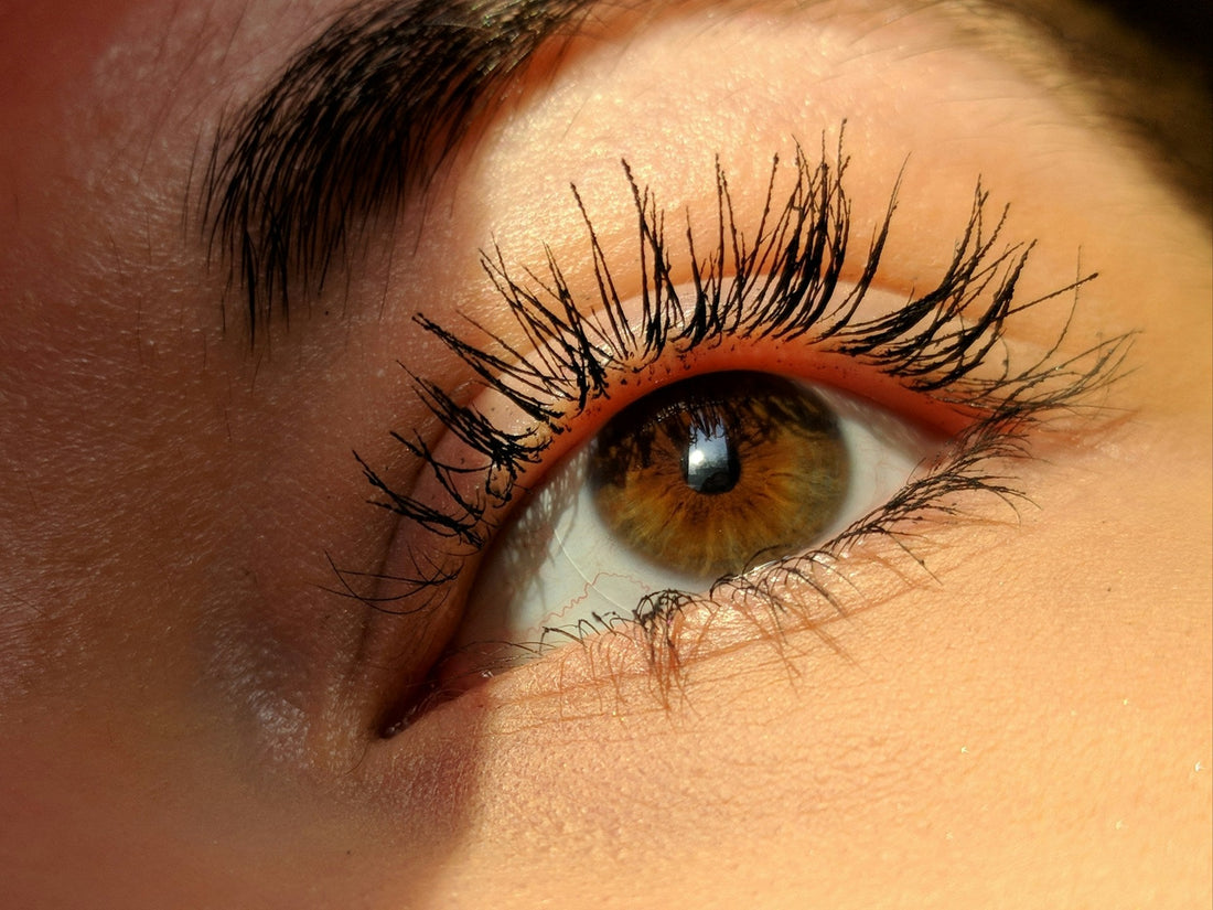 Lashes