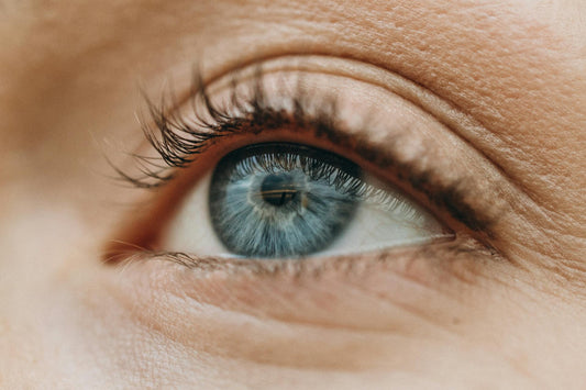 Free False Lashes